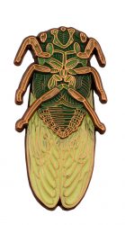  BUG DIE STRUCK PIN 