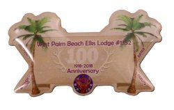  ELK LODGE MYLAR PIN 