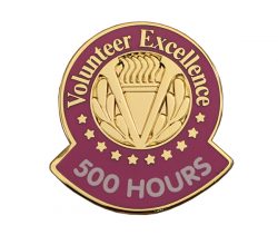  VOLUNTEER EXCELLENCE DIE STRUCK PIN 