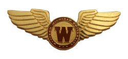  WINGS PIN 2” DIE STRUCK ANTIQUE GOLD METAL, ENAMEL FILL 