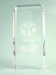  Custom Acrylic Awards & Trophies 