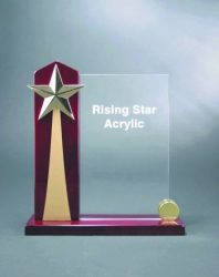  Rising Star Acrylic Award 